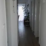 Veldic *